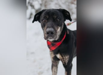 Odin sucht End platz!