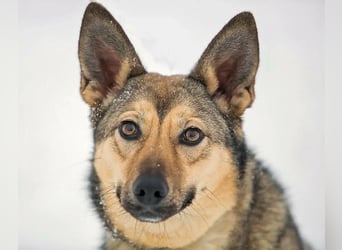 Aktive Bulochka sucht aktive Menschen