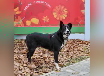 Mike sucht Traumzuhause