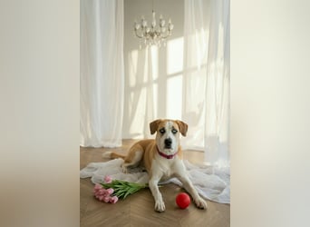 Jessie sucht ein aktives Leben