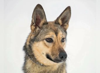 Aktive Bulochka sucht aktive Menschen