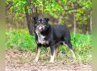 Sensible Mukha sucht verständnisvolle Menschen