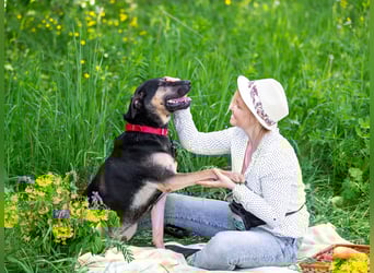 Sean sucht seine begleiter fürs leben