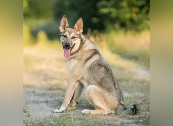 Aktive Bulochka sucht aktive Menschen