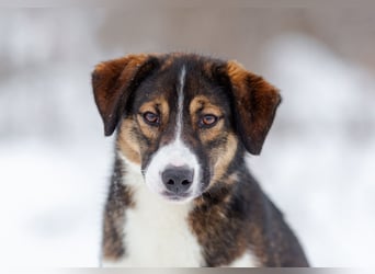 Havier sucht ein aktives Leben...