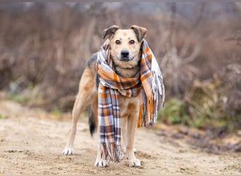 Mit wem kann Nora durch dick und dünn gehen?!