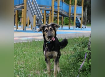 Der mutige Philip sucht seine Menschen