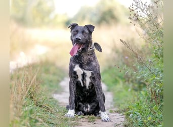 Menschenbezogener Chicago will geliebt werden