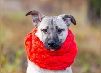 Iriska sucht liebe Menschen