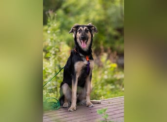 Der mutige Philip sucht seine Menschen