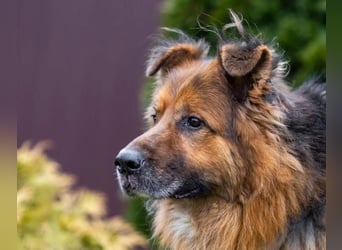 Bekommt Rakhat eine 2.Chance?!