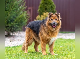 Bekommt Rakhat eine 2.Chance?!