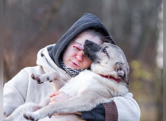 Iriska sucht liebe Menschen