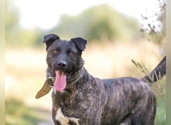 Menschenbezogener Chicago will geliebt werden