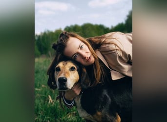 Dania sucht endplatz für immer