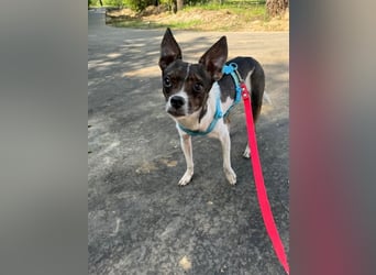 Gesseliger Peter sucht dich ...