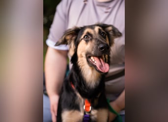 Der mutige Philip sucht seine Menschen