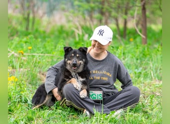 Sensible Mukha sucht verständnisvolle Menschen