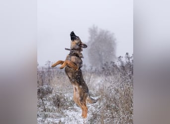 Ein Herz für Vasilisa geben Sie ihr eine Chance auf ein glückliches Leben!