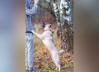 Iriska sucht liebe Menschen