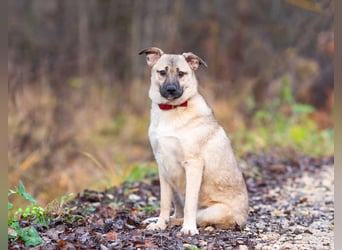 Iriska sucht liebe Menschen