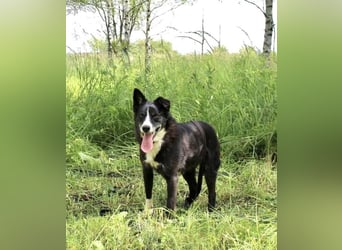 Mike sucht Traumzuhause