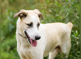 Kannst du Nemo lieben trotz handicap?!