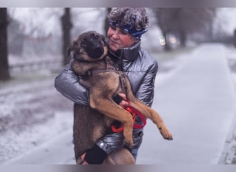 Vasilisa sucht ihr Traumzuhause!