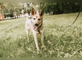 Aktive Bulochka sucht aktive Menschen