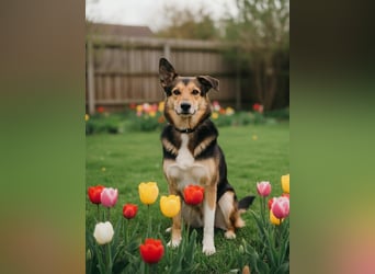 Elis ist schüchtern aber sie hat so viel Liebe zu geben....