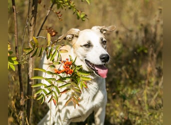Kannst du Nemo lieben trotz handicap?!