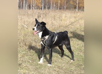 Mike sucht Traumzuhause