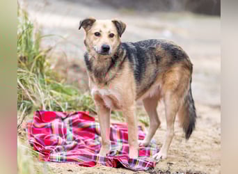 Mit wem kann Nora durch dick und dünn gehen?!