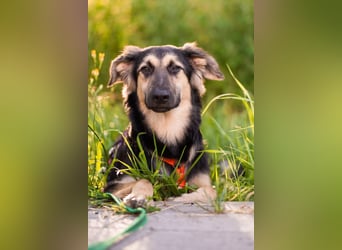 Der mutige Philip sucht seine Menschen