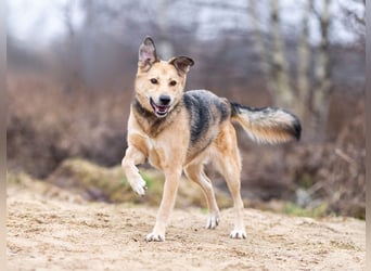 Mit wem kann Nora durch dick und dünn gehen?!