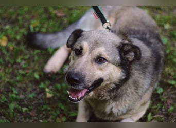 Lyon möchte endlich Liebe und wärme spüren