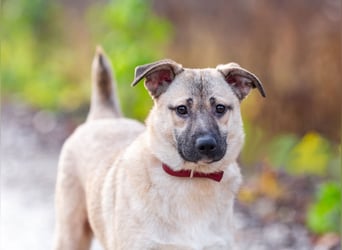 Iriska sucht liebe Menschen