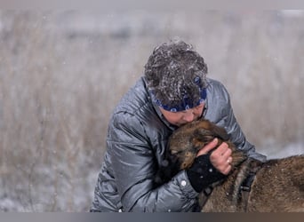 Ein Herz für Vasilisa geben Sie ihr eine Chance auf ein glückliches Leben!
