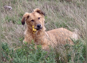 Enyo liebevoll Neo gerufen