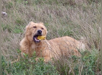 Enyo liebevoll Neo gerufen