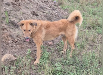 Enyo liebevoll Neo gerufen