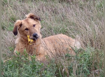 Enyo liebevoll Neo gerufen