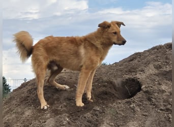 Enyo liebevoll Neo gerufen