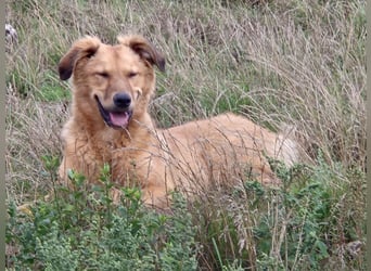 Enyo liebevoll Neo gerufen