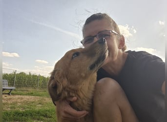 Enyo liebevoll Neo gerufen