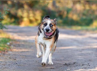 Tyson will nochmal seine ganze Liebe zeigen