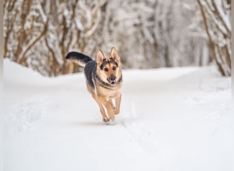Kann Vishnja dich verzaubern ?!
