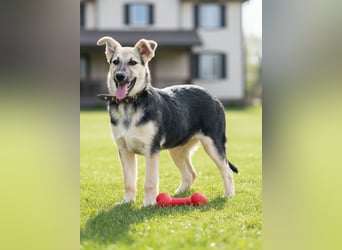 Junger Chernysh möchte die Welt Erkunden