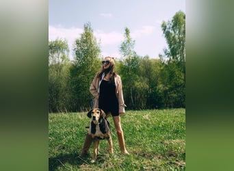 Dania sucht endplatz für immer