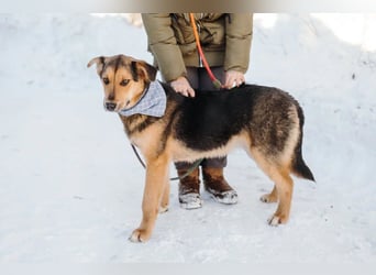 Junger Pluto sucht seine Menschen